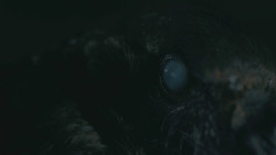 extant_GameOfThrones_8x03-TheLongNight_3441