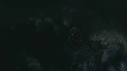 extant_GameOfThrones_8x03-TheLongNight_3442