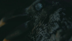 extant_GameOfThrones_8x03-TheLongNight_3443