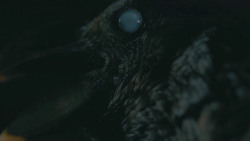 extant_GameOfThrones_8x03-TheLongNight_3444