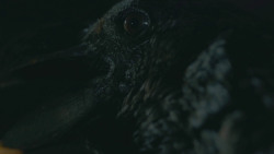 extant_GameOfThrones_8x03-TheLongNight_3445