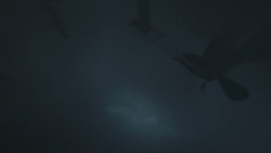 extant_GameOfThrones_8x03-TheLongNight_3509