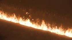 extant_GameOfThrones_8x03-TheLongNight_3584