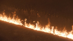 extant_GameOfThrones_8x03-TheLongNight_3587