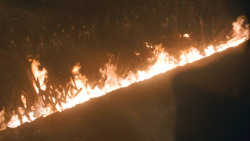 extant_GameOfThrones_8x03-TheLongNight_3608