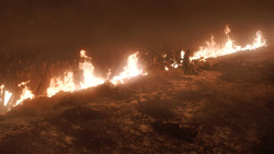 extant_GameOfThrones_8x03-TheLongNight_3642