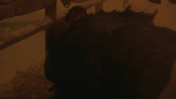 extant_GameOfThrones_8x03-TheLongNight_3937