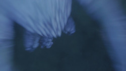 extant_GameOfThrones_8x03-TheLongNight_4543