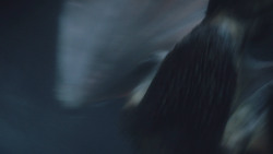 extant_GameOfThrones_8x03-TheLongNight_4555