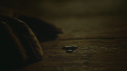extant_GameOfThrones_8x03-TheLongNight_4900
