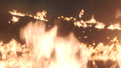 extant_GameOfThrones_8x03-TheLongNight_6218