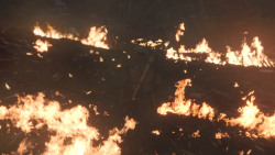 extant_GameOfThrones_8x03-TheLongNight_6223