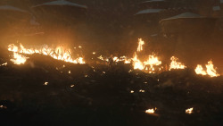 extant_GameOfThrones_8x03-TheLongNight_6285