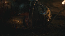 extant_GameOfThrones_8x03-TheLongNight_6336