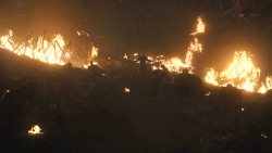 extant_GameOfThrones_8x03-TheLongNight_6357