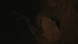 extant_GameOfThrones_8x03-TheLongNight_6566