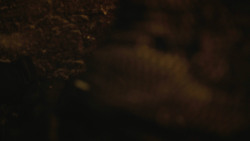 extant_GameOfThrones_8x03-TheLongNight_7470