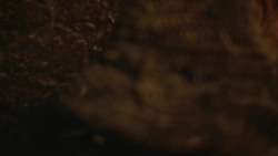 extant_GameOfThrones_8x03-TheLongNight_7471