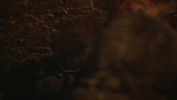 extant_GameOfThrones_8x03-TheLongNight_7472