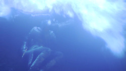 extant_GameOfThrones_8x03-TheLongNight_7827