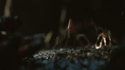 extant_GameOfThrones_8x03-TheLongNight_8532