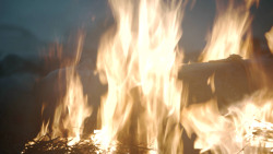 extant_GameOfThrones_8x04-TheLastOfTheStarks_0547