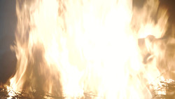 extant_GameOfThrones_8x04-TheLastOfTheStarks_0551