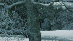 extant_GameOfThrones_8x04-TheLastOfTheStarks_4342