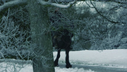 extant_GameOfThrones_8x04-TheLastOfTheStarks_4344