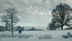 extant_GameOfThrones_8x04-TheLastOfTheStarks_4382
