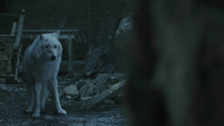 extant_GameOfThrones_8x04-TheLastOfTheStarks_4951
