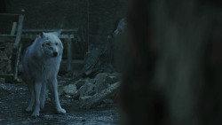 extant_GameOfThrones_8x04-TheLastOfTheStarks_4953