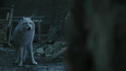 extant_GameOfThrones_8x04-TheLastOfTheStarks_4954