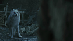 extant_GameOfThrones_8x04-TheLastOfTheStarks_4955