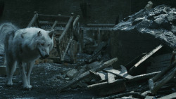 extant_GameOfThrones_8x04-TheLastOfTheStarks_5175