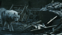 extant_GameOfThrones_8x04-TheLastOfTheStarks_5176