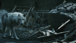 extant_GameOfThrones_8x04-TheLastOfTheStarks_5177