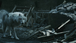 extant_GameOfThrones_8x04-TheLastOfTheStarks_5178
