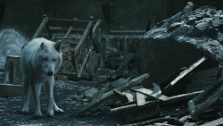 extant_GameOfThrones_8x04-TheLastOfTheStarks_5186