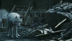 extant_GameOfThrones_8x04-TheLastOfTheStarks_5187