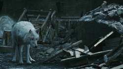 extant_GameOfThrones_8x04-TheLastOfTheStarks_5189