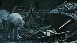 extant_GameOfThrones_8x04-TheLastOfTheStarks_5190