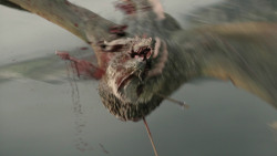 extant_GameOfThrones_8x04-TheLastOfTheStarks_5547