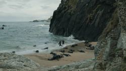 extant_GameOfThrones_8x04-TheLastOfTheStarks_5851
