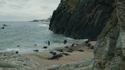 extant_GameOfThrones_8x04-TheLastOfTheStarks_5854