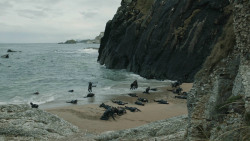 extant_GameOfThrones_8x04-TheLastOfTheStarks_5856