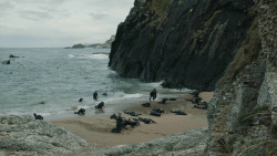 extant_GameOfThrones_8x04-TheLastOfTheStarks_5858