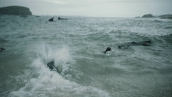 extant_GameOfThrones_8x04-TheLastOfTheStarks_5862