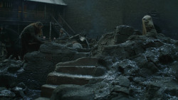 extant_GameOfThrones_8x04-TheLastOfTheStarks_6692