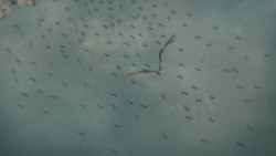 extant_GameOfThrones_8x05-TheBells_3451